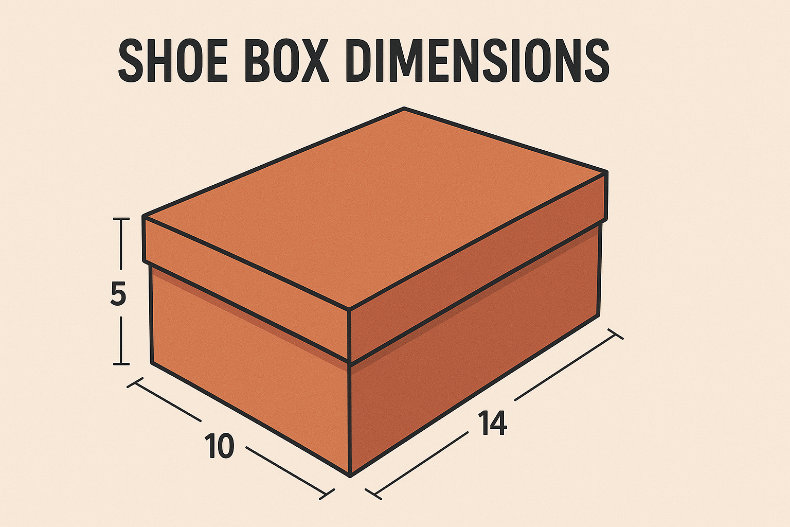 Standard shoe box sizes