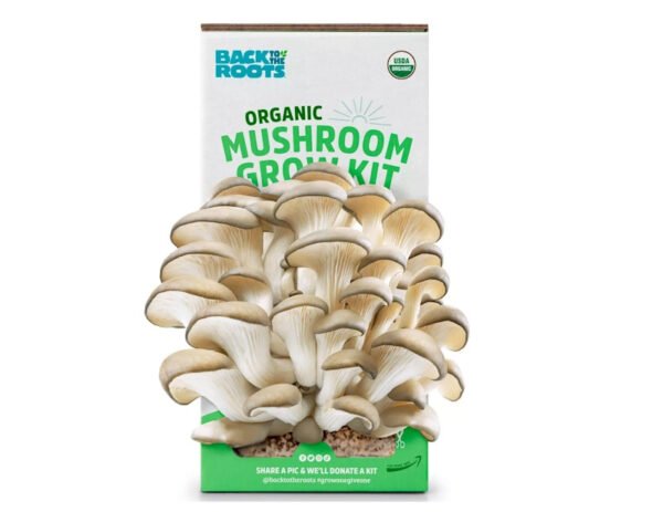 Custom Mushroom Boxes