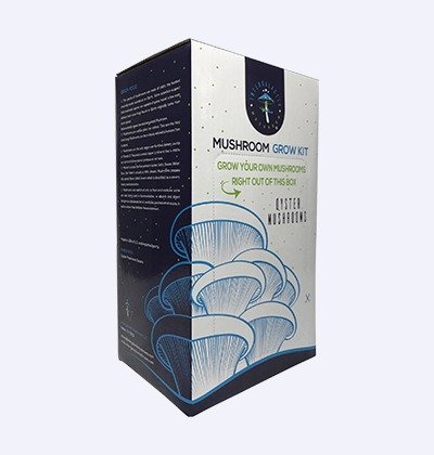Custom Mushroom Boxes
