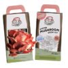 Mushroom packaging