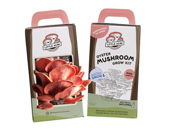 Mushroom packaging