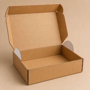 Custom Display Mailer Box